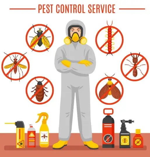 # 1 Trused Local Pest Control  In Hawthorn